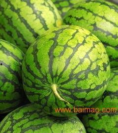 今日茄瓜批发价格表,市场行情实时更新